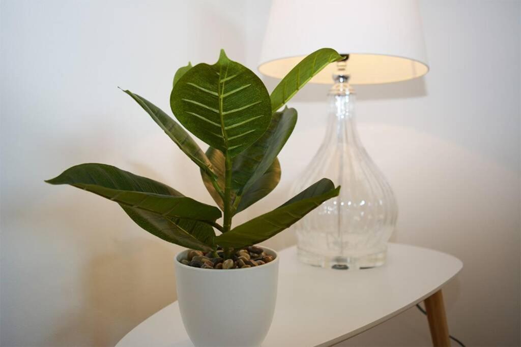 Ferienwohnung Alpenblick วิลลาค ภายนอก รูปภาพ